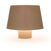 Aopen 磊戈無線智慧檯燈